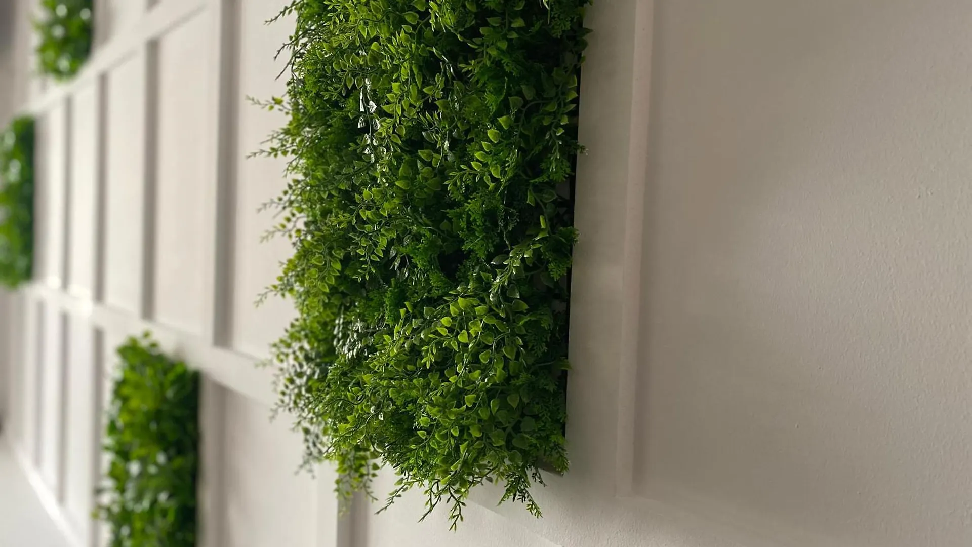 Apartment Eden Studio Bucharest
